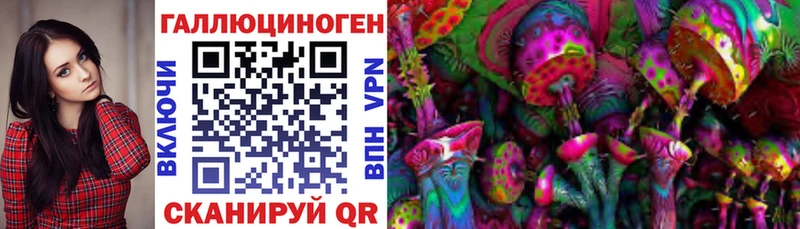 Псилоцибиновые грибы Magic Shrooms  Купить где  Козьмодемьянск 